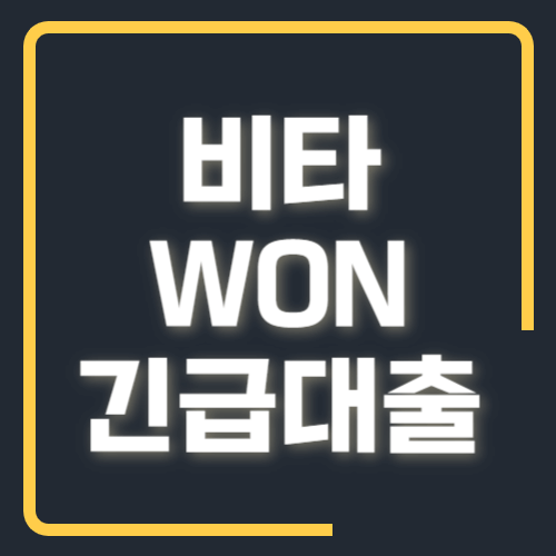 비타WON긴급대출