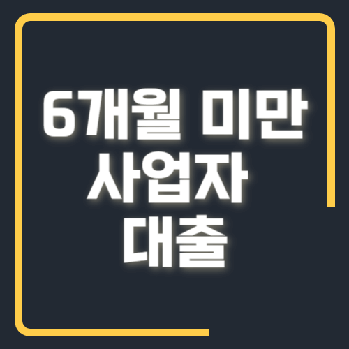 6개월 미만 사업자 대출