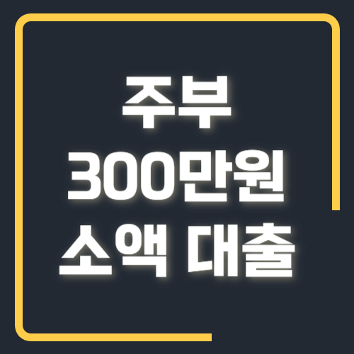 주부 300만원 소액대출