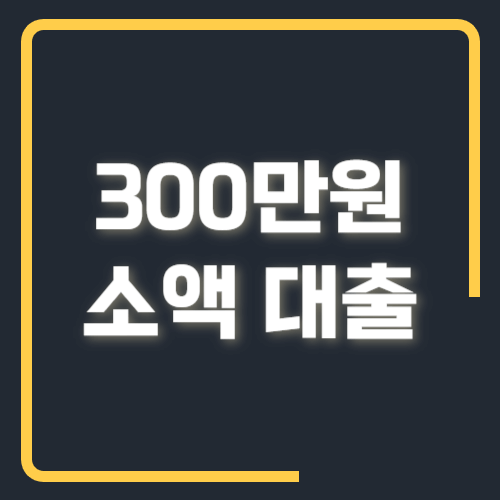 300만원 소액대출